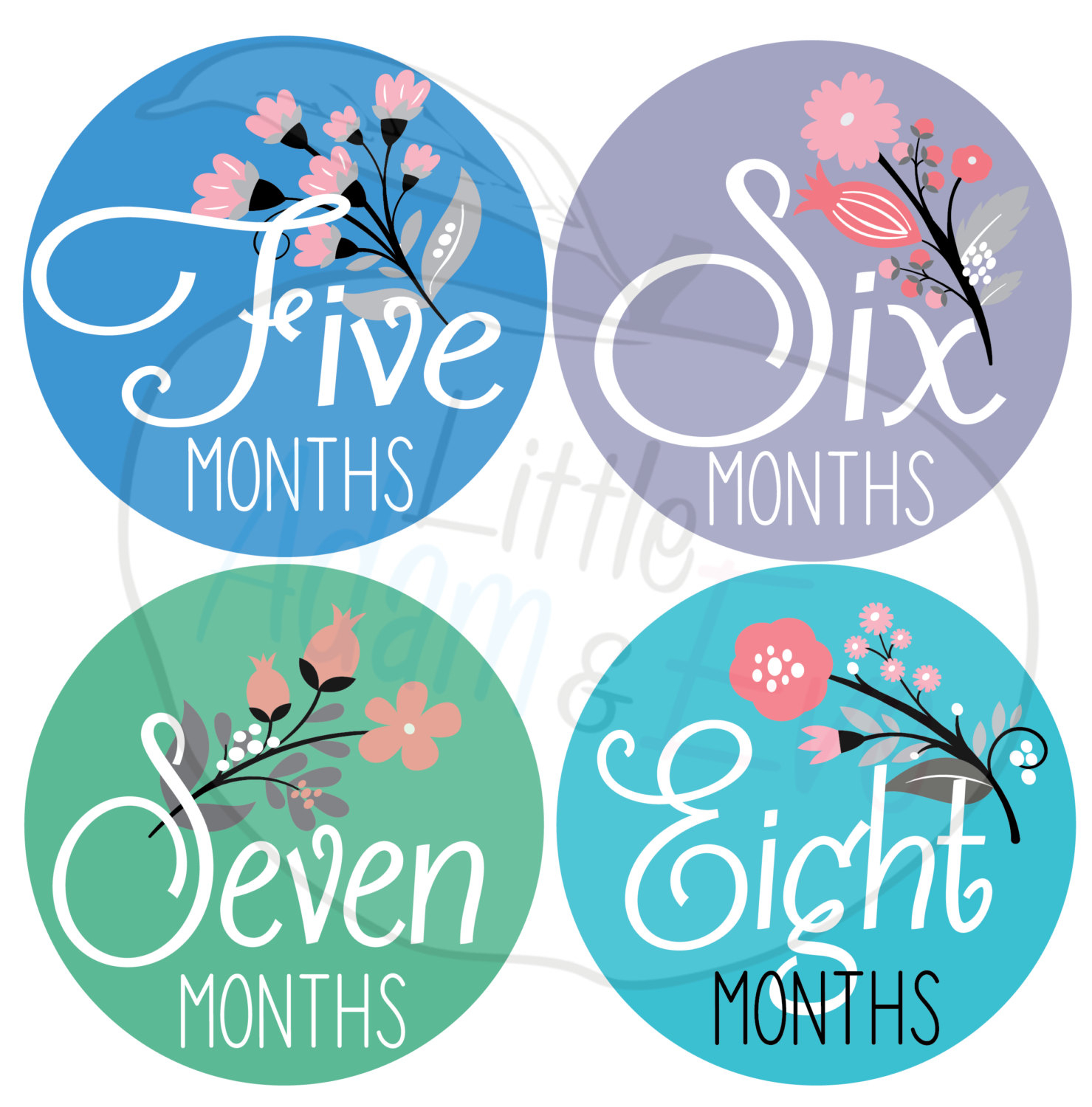 Baby Monthly Milestone Stickers 12 Stickers Floral 