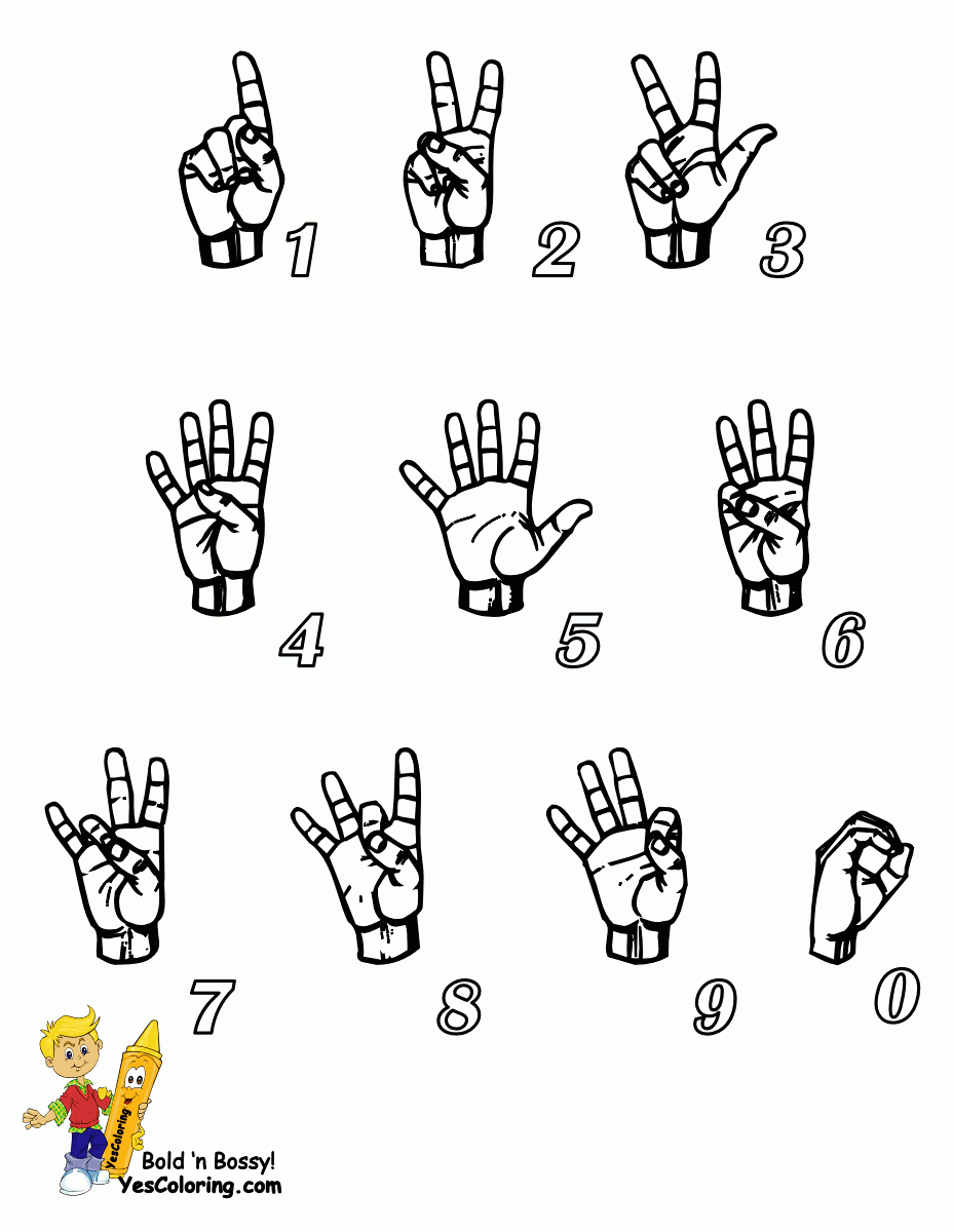 Bossy Learn Sign Language American Signing Free Alphabets