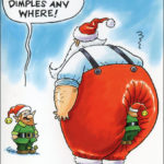 Nobleworks Elf Is Missing Box Of 12 Funny Christmas Cards