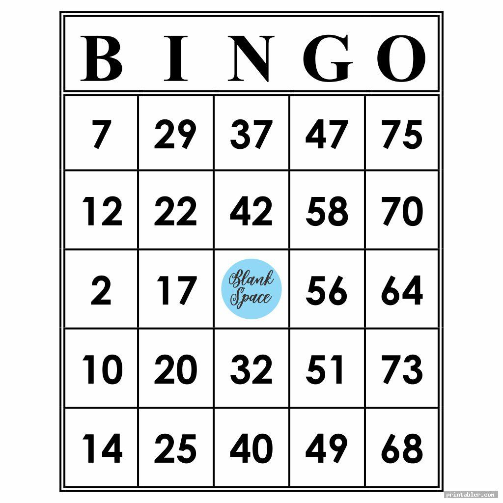 Printable Blank Bingo Cards 1 75 Printable Bingo Cards