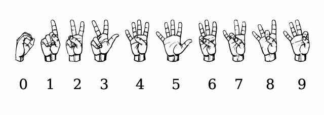 Sign Language Alphabet Google Search Sign Language Sign Language Alphabet Google Search Sign Language