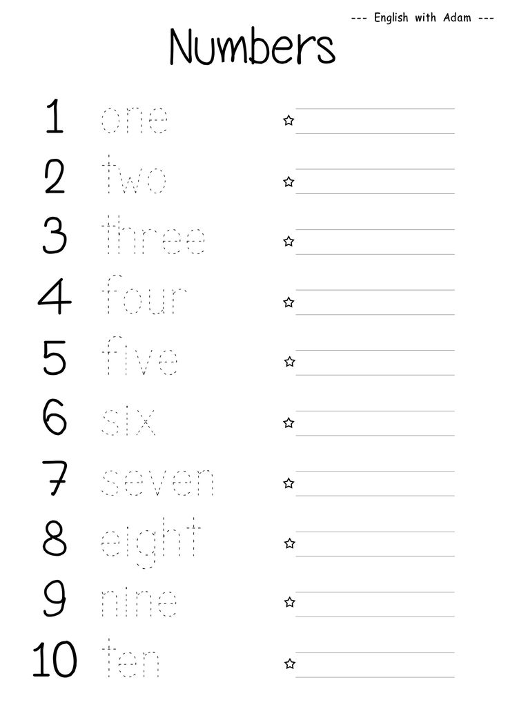 Worksheet English With Adam Number Words 